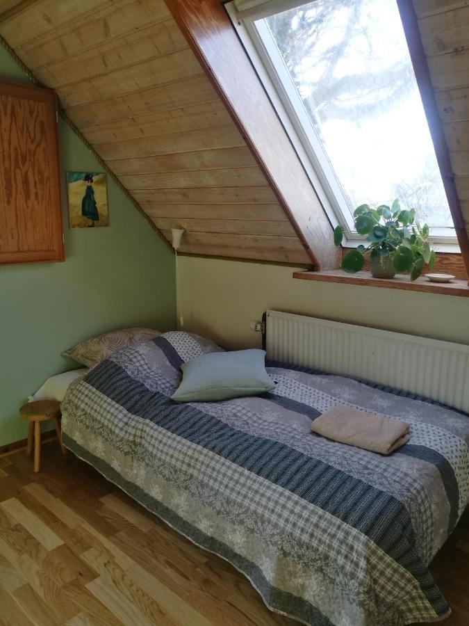 Green Vagon, Farm B&B Rooms For Rent Hjørring Eksteriør billede
