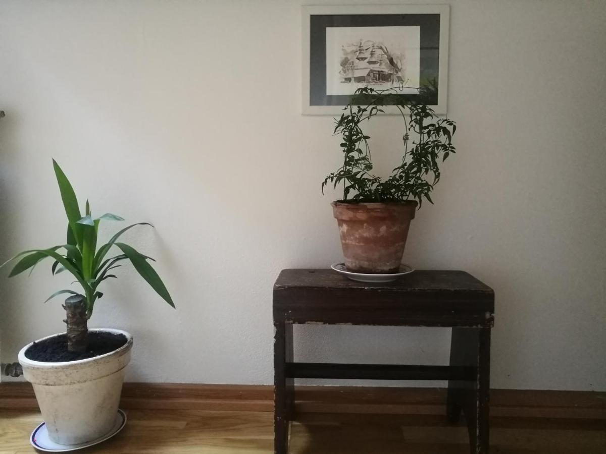 Green Vagon, Farm B&B Rooms For Rent Hjørring Eksteriør billede